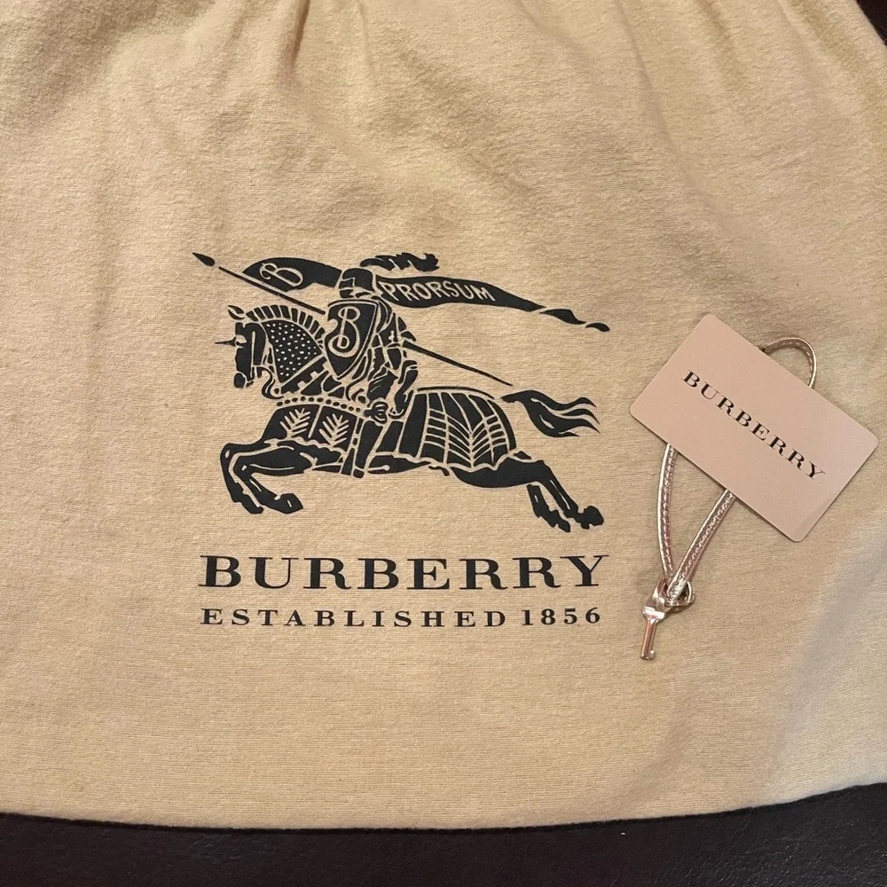 Burberry Brooke Gold Shoulder Bag - Picture 11 of 15